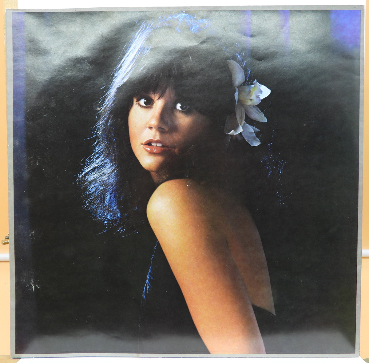 Linda Ronstadt Simple Dreams Vinyl Lp Asylum Records 6e 104 Vinyl Record