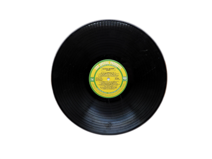 25 Polka Greats Vinyl Record Pg400 Majestic Records