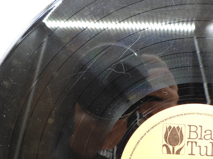32 Super Gold Dixieland Hits Vinyl Record Black Tulip