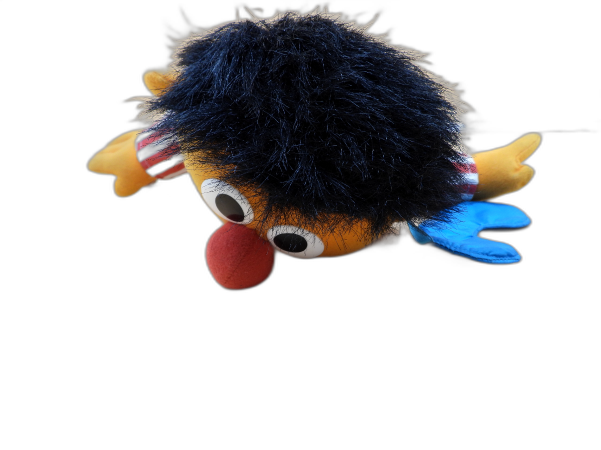 Sesame Street Sing & Snore Ernie Talking Plush Doll