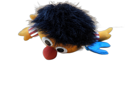 Sesame Street Sing & Snore Ernie Talking Plush Doll