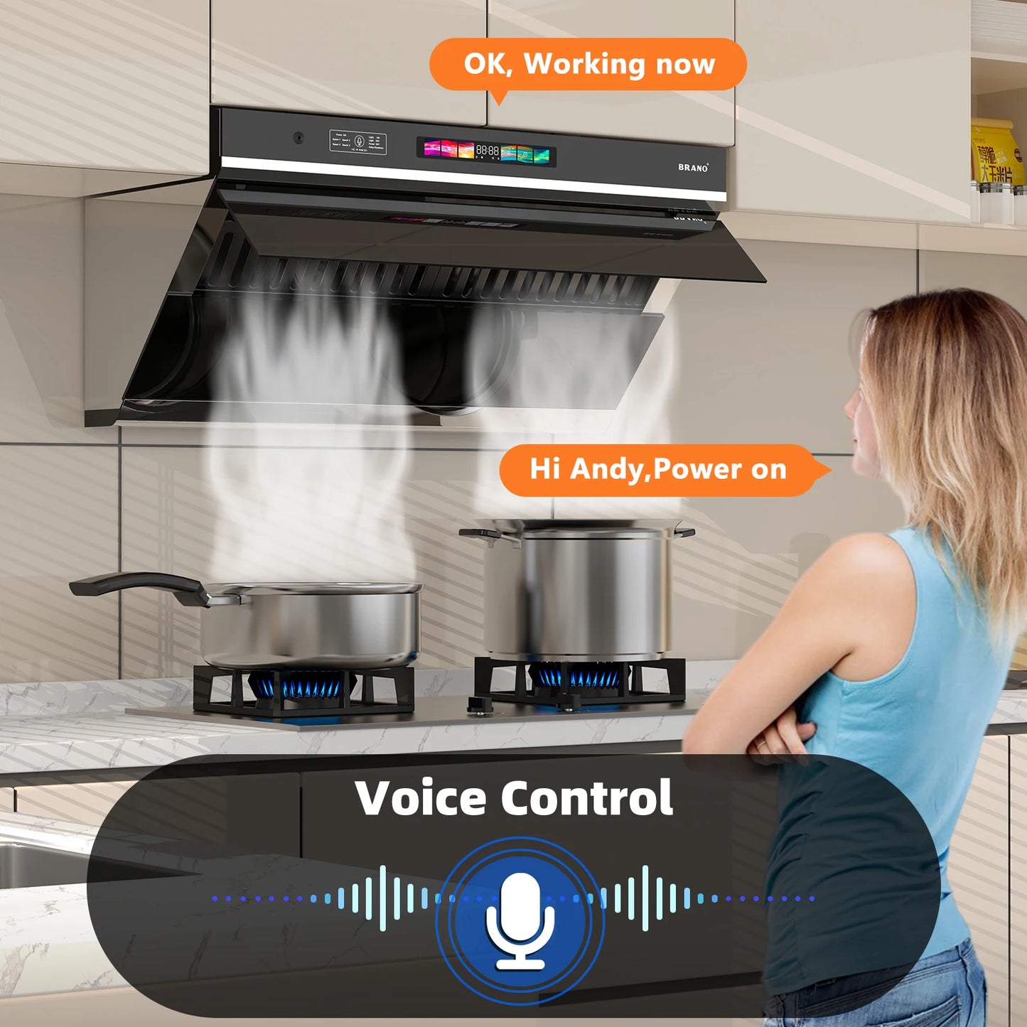 30 inch 900 CFM Convertible Under Cabinet Range Hood with Charcoal Filter, Voice/Gesture/Touch Control