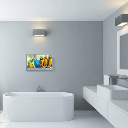 Souria 32inch Smart Mirror Touchscreen FHD LED TV Water Resistant Magic Android Bluetooth DTV Tuner Bathroom SPA Kitchen