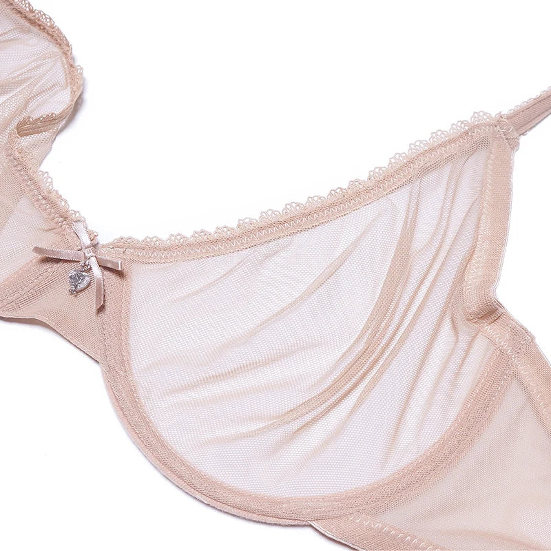 Women mesh sheer bra underwear set transparent unlined bra 2 panties plus size lingerie set for ladies