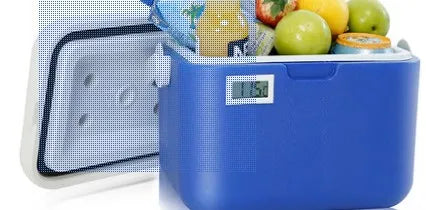 Luar auto PU insulation cooler medication refrigerator cold chain storage cool Portebla  ice bucket 5L food cooler plastic boxes