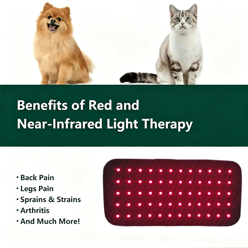 Pet Care Home Use Infrared Red Light Therapy Belt Wrap for Dogs Cats