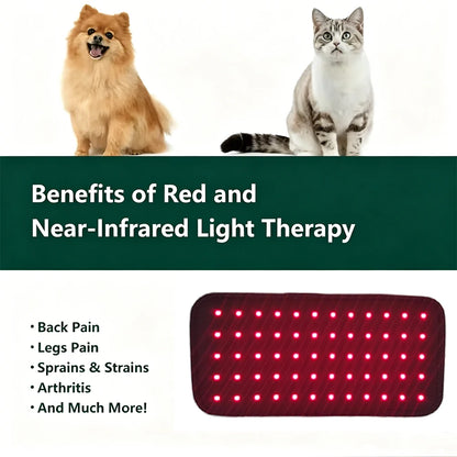 Pet Care Home Use Infrared Red Light Therapy Belt Wrap for Dogs Cats