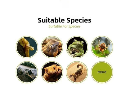 Reptile Shop Simulation Rock Cave Design Pet Lizard Gecko Spider Hideout House Climbing Frog Snake Cave Durable Plastic Pet S...
