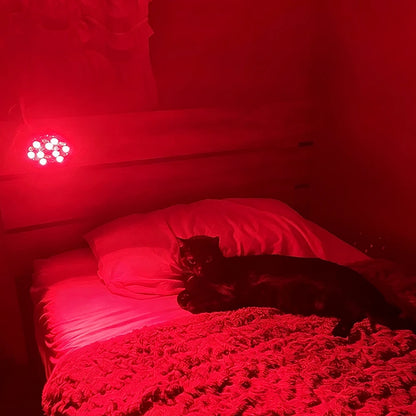Red Near Infrared Light Therapy Bulb for Body Face Veterinary for Pets Dogs Cats Use 660nmm and 850nm