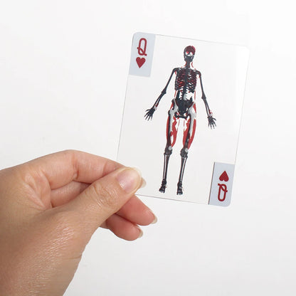 The Body Deck Skeleton Playing Cards Multifunctional Transparent Anatomy Poker Cards Skeletons X-Ray Designs Educational Gift
