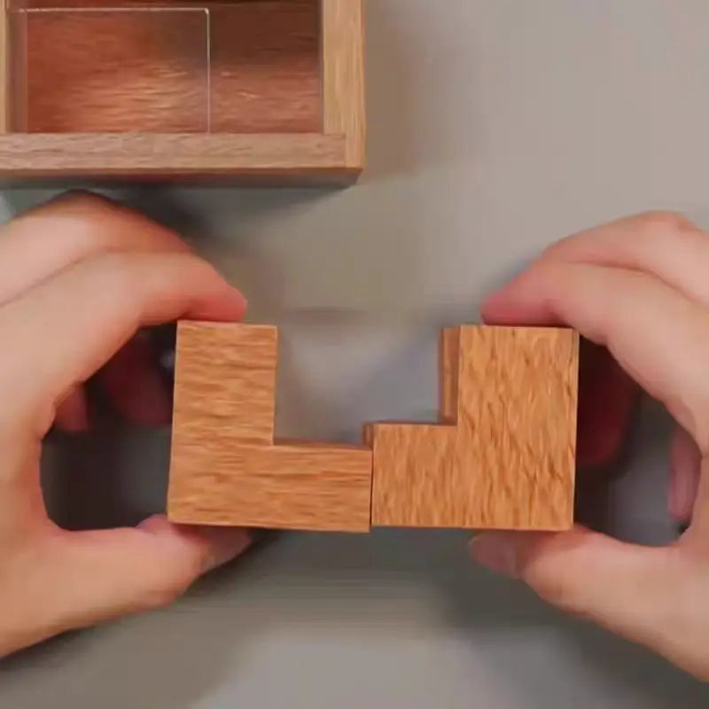 Impossible High Difficulty 4L Puzzle in A Box Wooden Brain Teasers Logic Games IQ Challenge For Adults Teens Creative Ideas