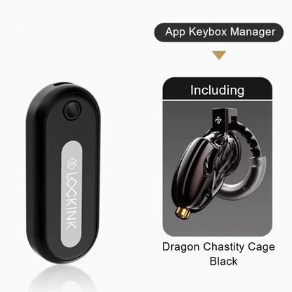 LOCKINK APP Remote Control Key Box Chastity Cage Sexy Adult Man Cock Cage Key Safe Sexy Gadgets Smart Key Holder BDSM Sex Toys