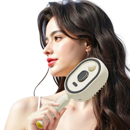 Electric Steam Brush USB-C Charging Wet Electrics Hairbrush Rechargeable Steams Hair Straightener for Both Long & Short Hairs