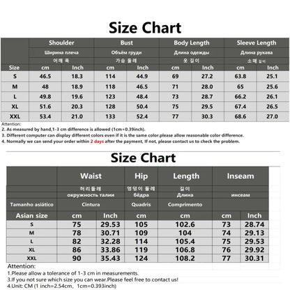Men's Spring Autumn Track Suit 2 Piece Set Stand Collar Jacket with Pants Casual Sports Running Outfit Matching Athletic Wear
