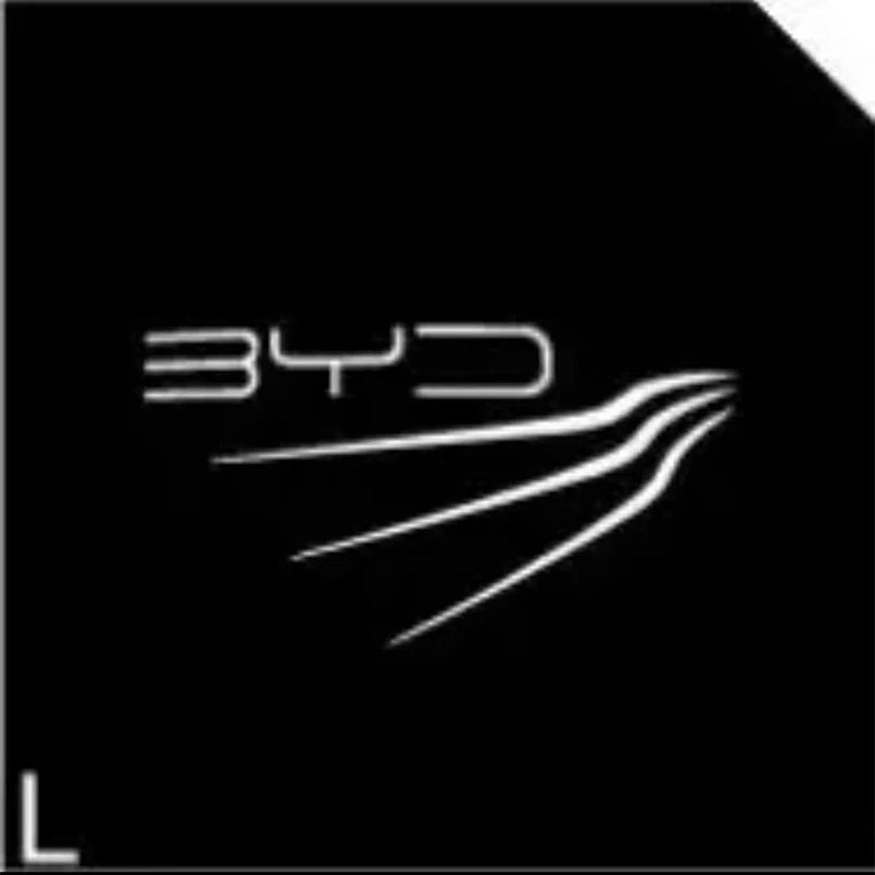Car door lights welcome lights night signal lights for BYD EV Han DM Song PLUS Qin PRO Seal EA1 exit warning lights