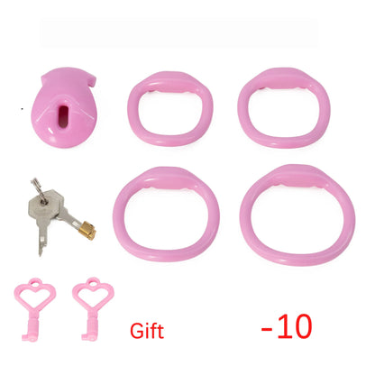 Male Chastity Cage with 4 Size Rings Positive/Negative Chastity Device Sissy Cb Lock Penis Bondage SM Chastity Lock Sex Toys Men