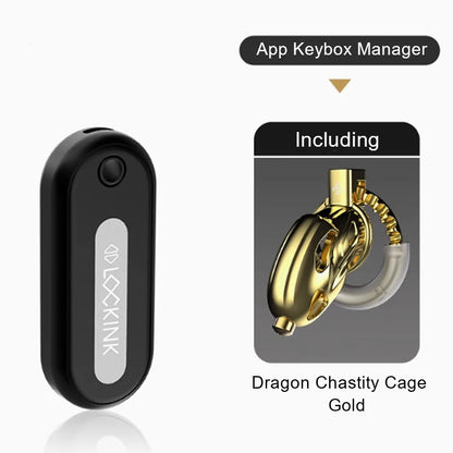 LOCKINK APP Remote Control Key Box Chastity Cage Sexy Adult Man Cock Cage Key Safe Sexy Gadgets Smart Key Holder BDSM Sex Toys