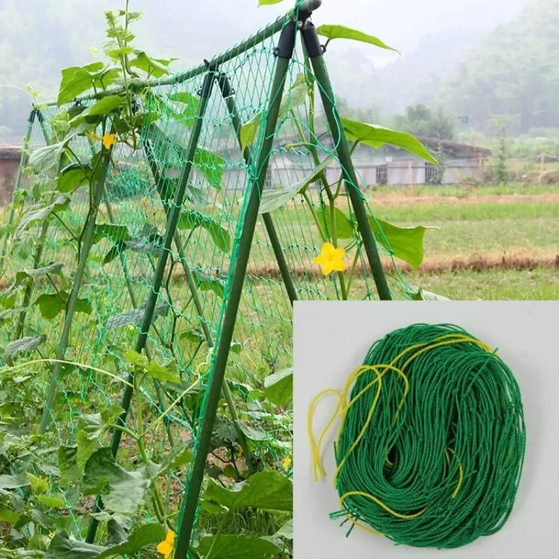 5/1PCS Garden Plant Climbing Net Plant Trellis for Tomato Fruit Vegetables Grapes Cucumber Net Morning Glory Flower Vine Netting