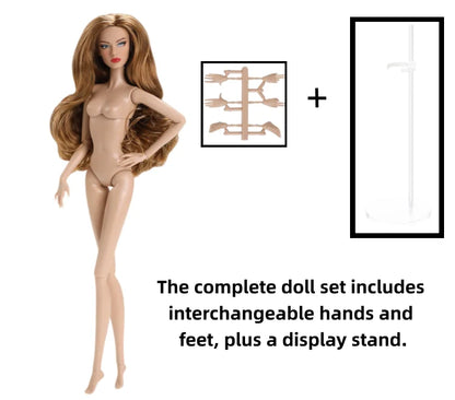 1/6 Scale Supermodel Female Body with 14 Joints Includes Multiple Wig Options And Extra Head for Collectible Figures