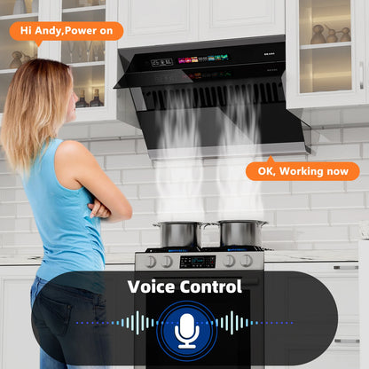 BRANO 30-inch under Cabinet Range Hood 900CFM Ventilation with Voice/Gesture/Touch Control for Modern Kitchen Ducted/Ductless Co