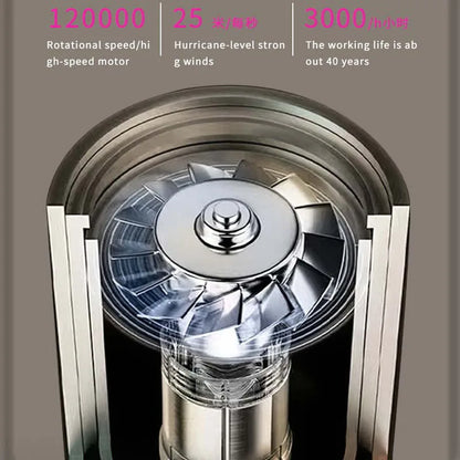 Professional hair dryer High Speed 1600W Powerful Home Low Noise Quick Negative lonic Blow Dryer Hotel Electric Salon Hairdryers