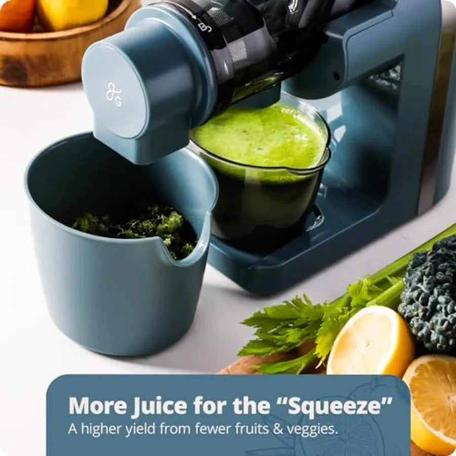 Cold Press Juicer for fruits and vegetables, stone blue slow masticating extractor with quiet motor, high juice yield, easy to