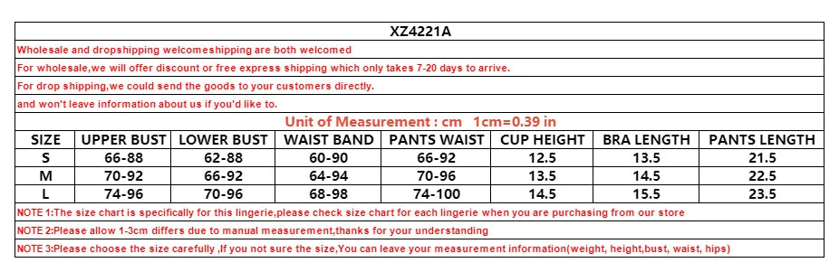 Ladies Sexy Luxury Gothic Costume Carnival Set Exotic Fashion Hollow Out Lace Transparent Erotic Lingerie Panties 4 Piece Set