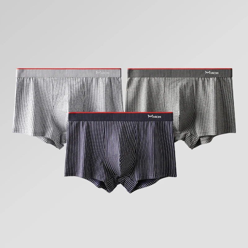 MiiOW 3/4Pcs PLUS 5XL Men Underwear Striped Panties Boxershorts Organic Cotton Boxer Shorts Antibacterial Seamless Underpants
