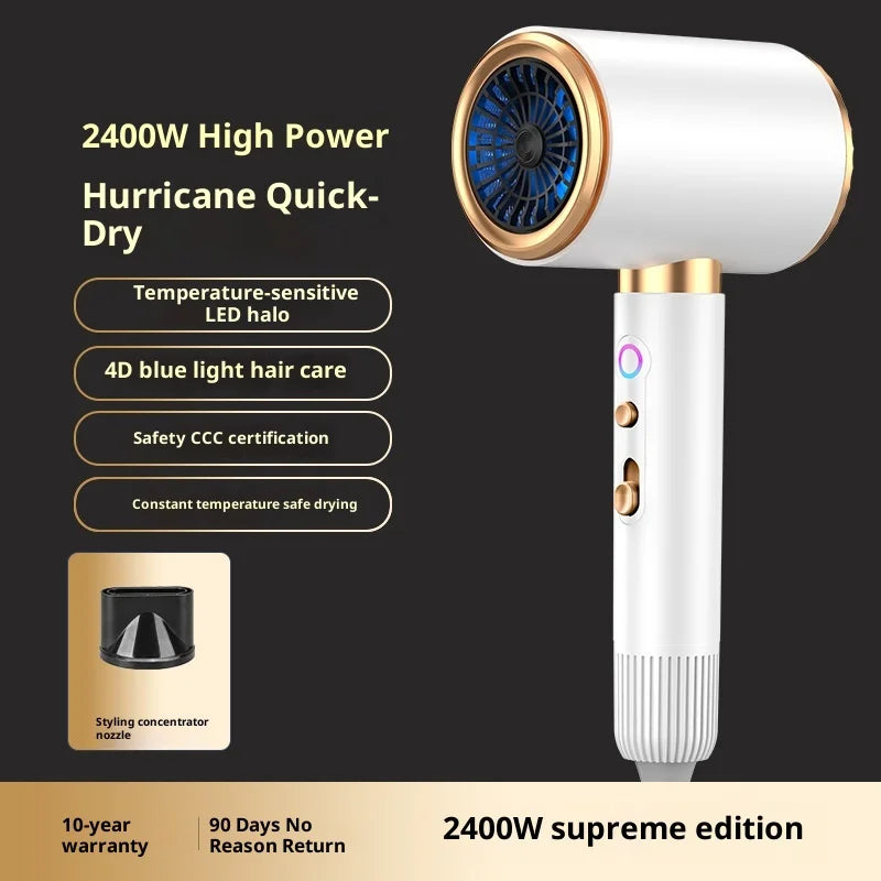 High-Speed Hair Dryer 2400W High-Speed Styling Dryer with Concentrator Diffuser Attachments for Home Use Hair Styling
