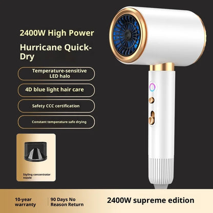 High-Speed Hair Dryer 2400W High-Speed Styling Dryer with Concentrator Diffuser Attachments for Home Use Hair Styling