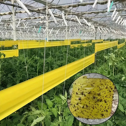 1 Roll Double-Sided Sticky Insect Barrier Tape Effective Against Outdoor Pest Control Self-Adhesive Suitable for Trees 2030