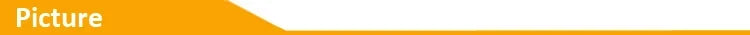 Desktop aptX-Adaptive AD/HD/LL AAC 2 in 1 Bluetooth Audio Transmitter Receiver 3.5MM AUX RCA Stereo HiFi Music Wireless Adapter