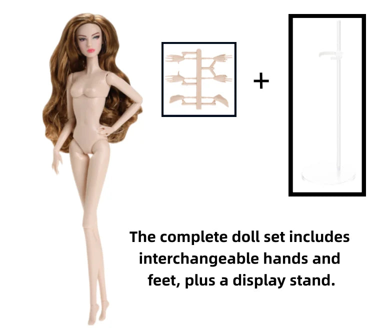 1/6 Scale Supermodel Female Body with 14 Joints Includes Multiple Wig Options And Extra Head for Collectible Figures