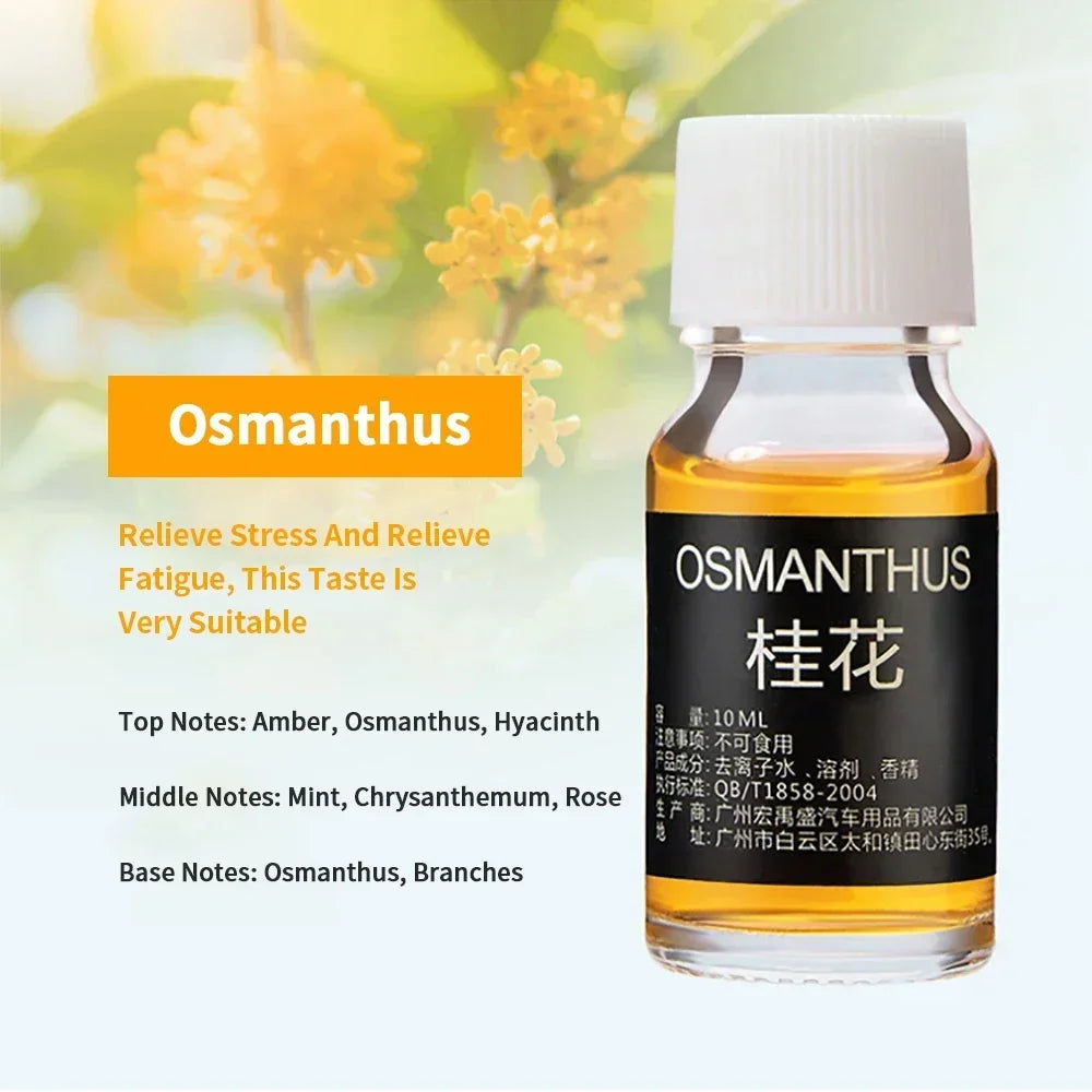 Car Air Freshener Essential Oils for Aroma Diffuser Air Humidifier Water-soluble 10ml Air Freshener Scents Fragrance Oil Perfume