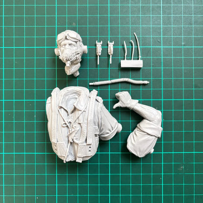 1/10 scale resin unpainted model kit, bust of a British Royal Air Force pilot, unassembled and unpainted GK