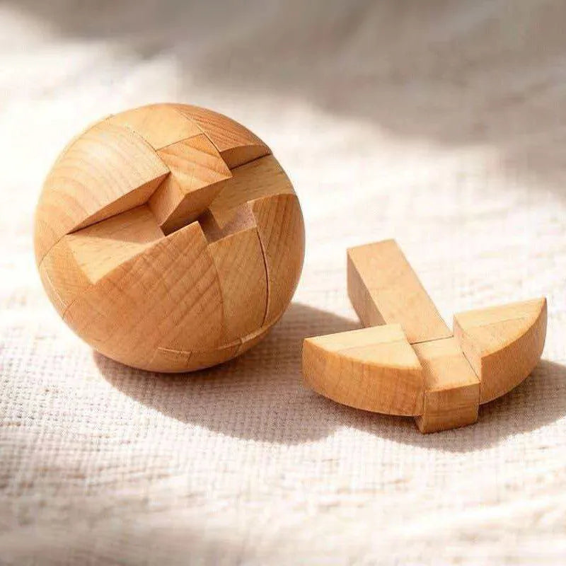 Metal and Wooden Brain Teaser Puzzles 3D Unlock Interlocking Disentanglement Educational Logic IQ Toys For Kids & Adults