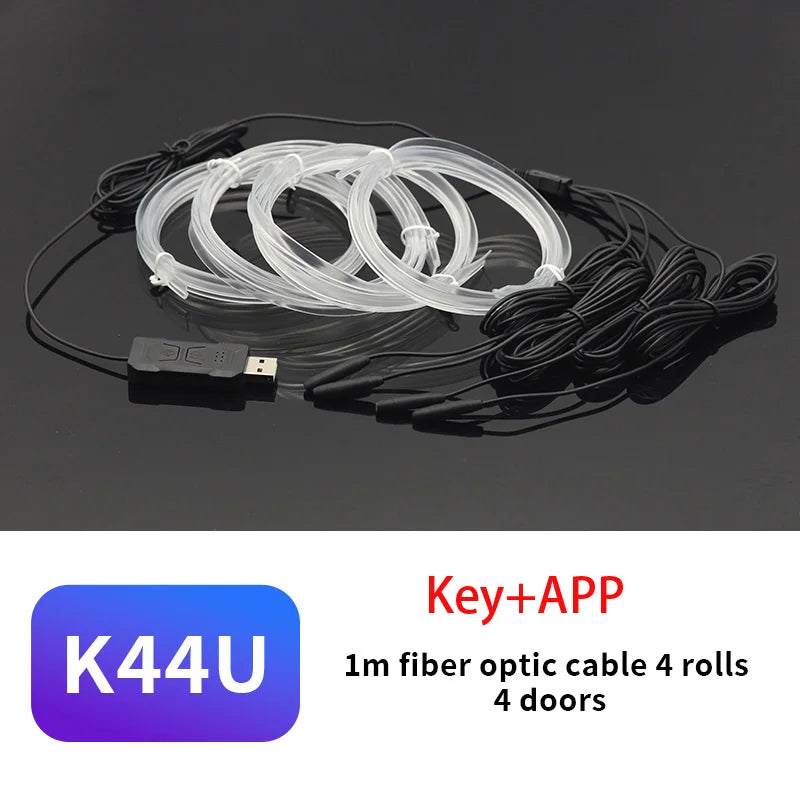 Car Interior Led Decorative Lamp Remote App EL Wiring Neon Strip For Auto DIY Flexible Ambient Light USB Party Atmosphere Diode