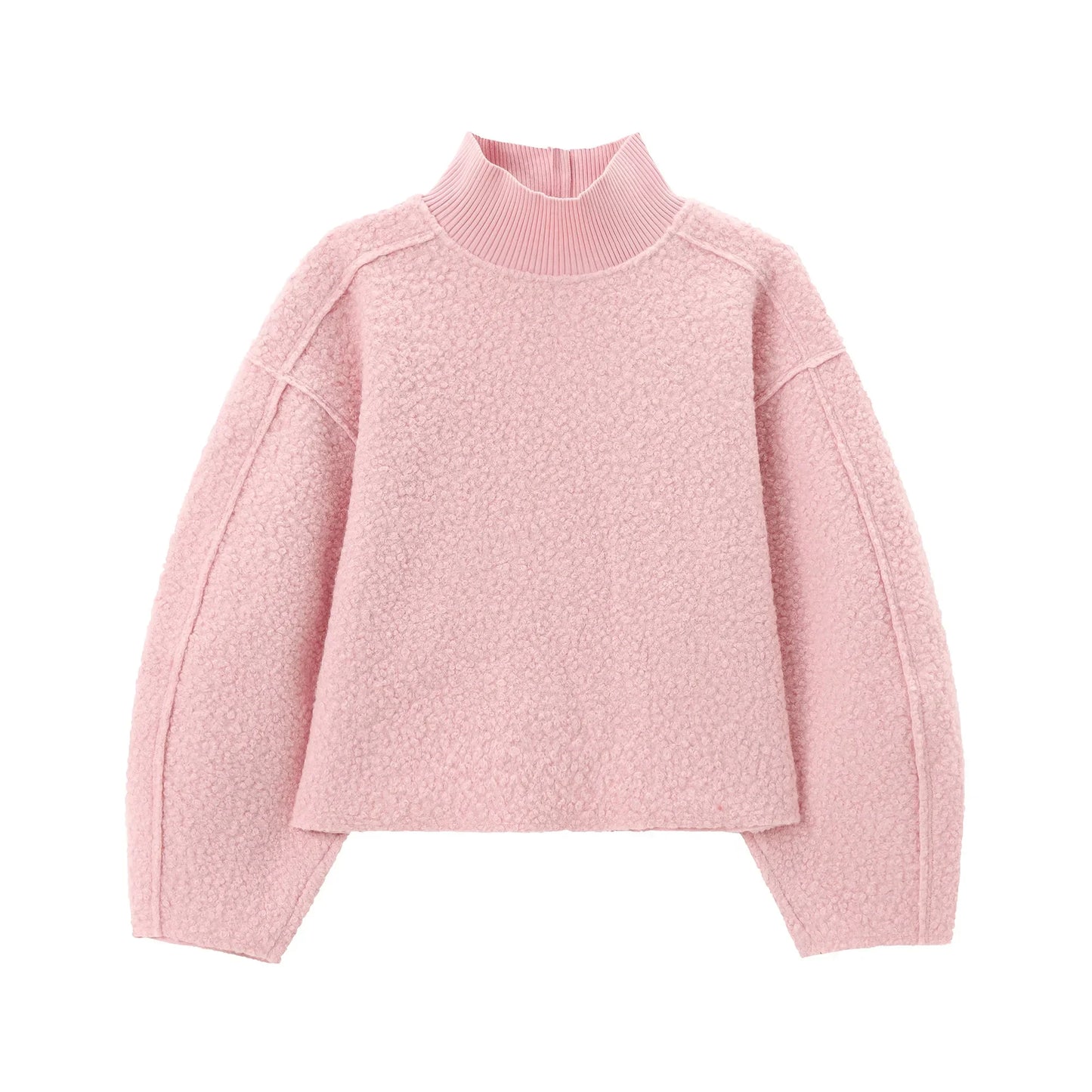 BSAY Women Fashion Autumn Winter 2024 New Loose Solid Color Long Sleeved Stand Collar Pullover Top Chic Female Sweatshirt