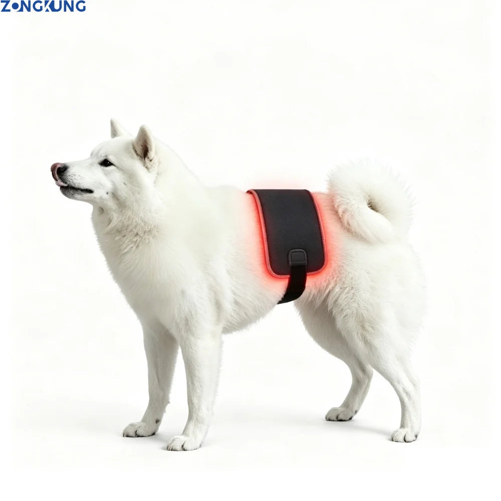 Pet Care Home Use Infrared Red Light Therapy Belt Wrap for Dogs Cats