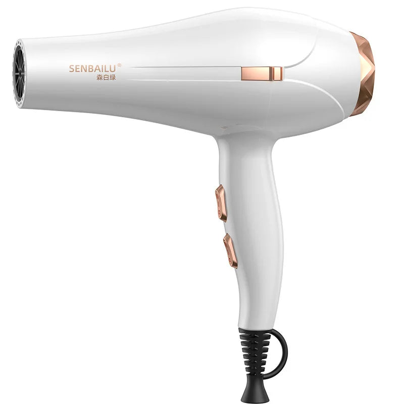 11 Second Fast Dry Hair Dryer With Pure Copper Core, High-Speed Blue Light Negative Ion Hair Care, Home Hair Salon Hair Dryer