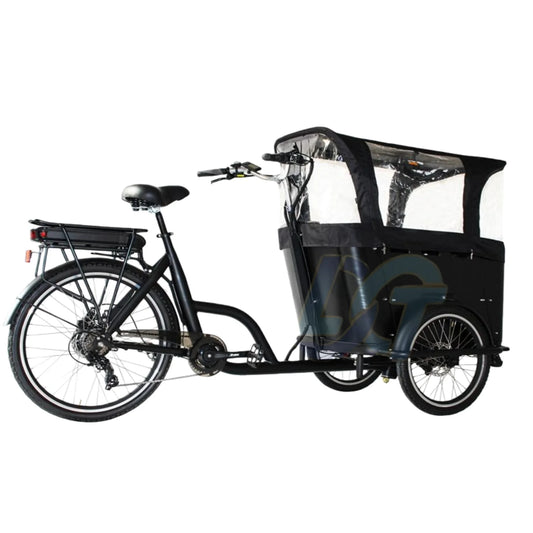 250 Watt 3 Wheel Electric Cargo Bike Mid Motor Electric Tricycles 3 Wheel electric cargo bike for Family
