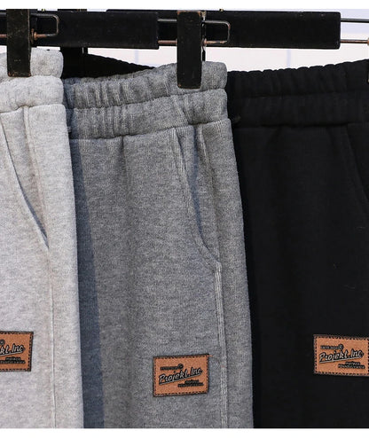 Thickened Fleece Cotton Harlan Pants Women's Casual Sports Sweatpants High Waist Elastic Bottom Leisure Trousers for All Seasons