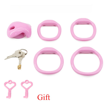 Male Chastity Cage with 4 Size Rings Positive/Negative Chastity Device Sissy Cb Lock Penis Bondage SM Chastity Lock Sex Toys Men