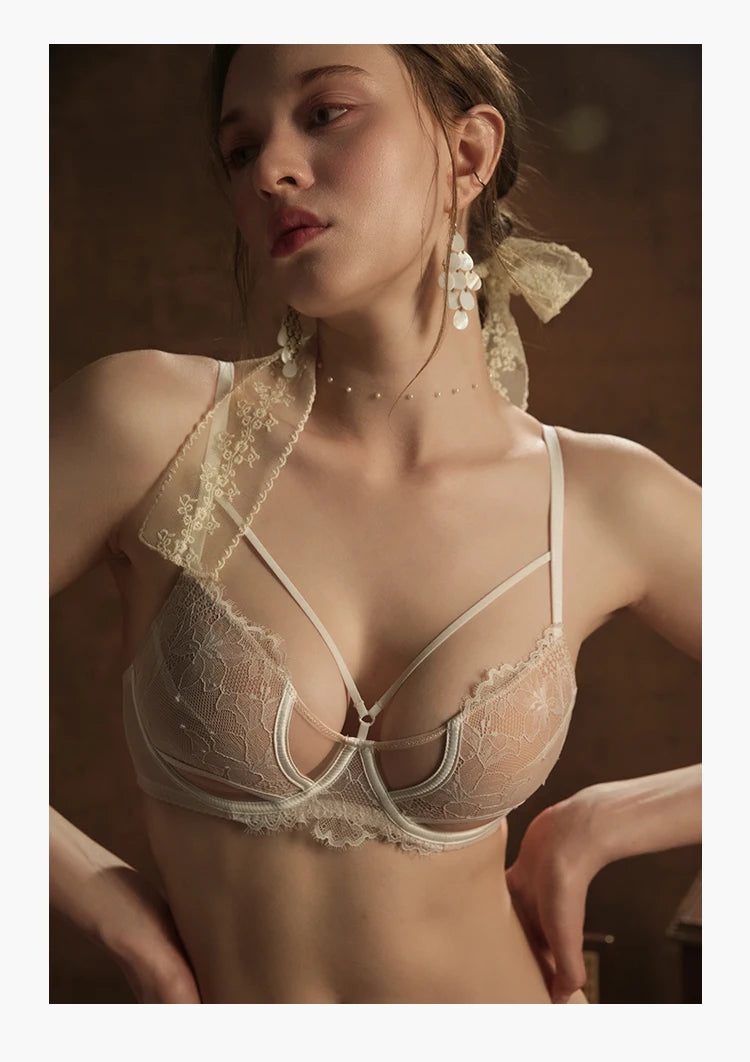 French Inspired Minimizer Bra Plus Size, Anti Sagging Lace Bralette, Sheer Sexy Tuhsy Lingerie Set Wireless Comfort Fall Winter