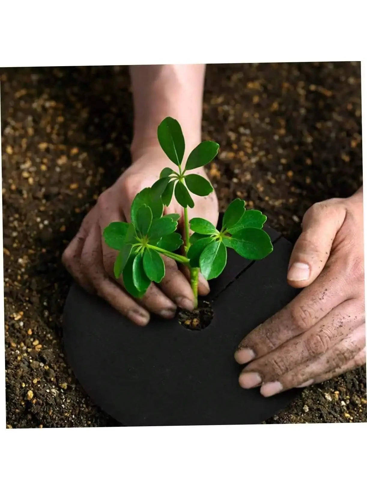 5Pcs Non-Woven Tree Mulch Ring Weed Control Mat Landscape Fabric Anti-Grass Root Protector Barrier Garden Plant Cover 15-82cm