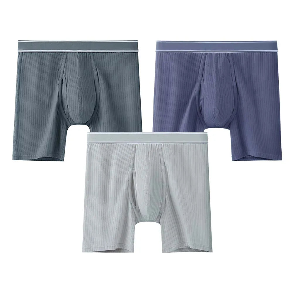 3/4Pcs Boxer man Comfortable Men's briefs Long Boxers For Man Underwear 3D Cutting U Pouch Design Men's underpants