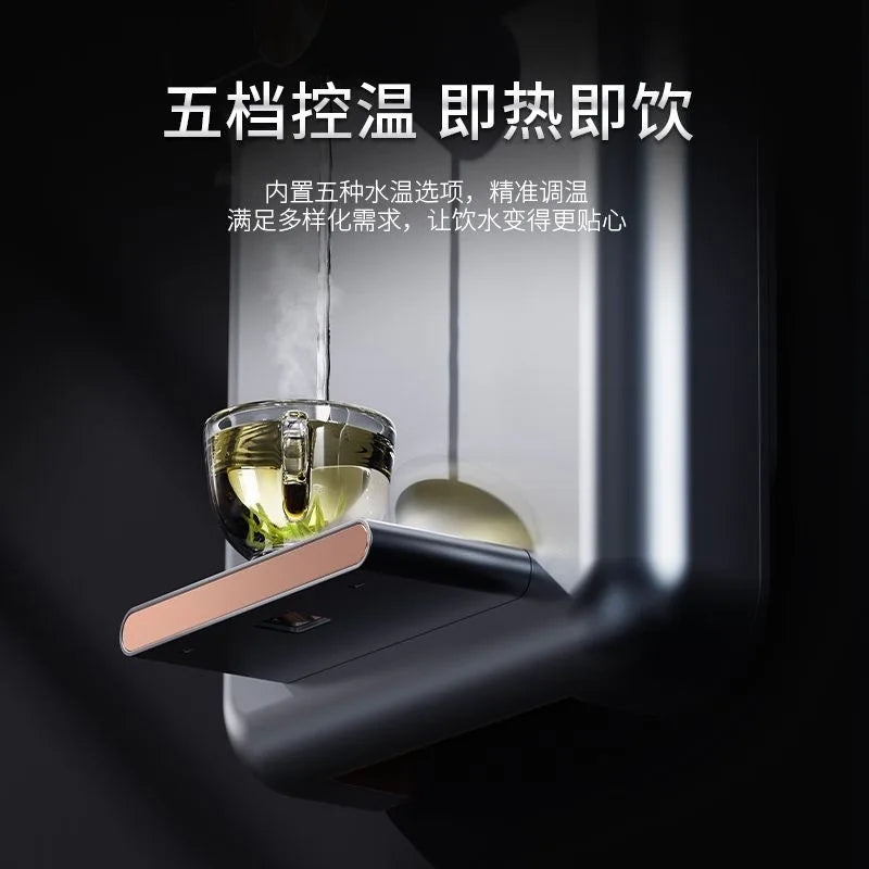 220V Pipeline Machine Wall-Mounted No Inner Liner Dual Purpose for Bottled Water/Water Purifier UV Smart Hot Water Dispenser
