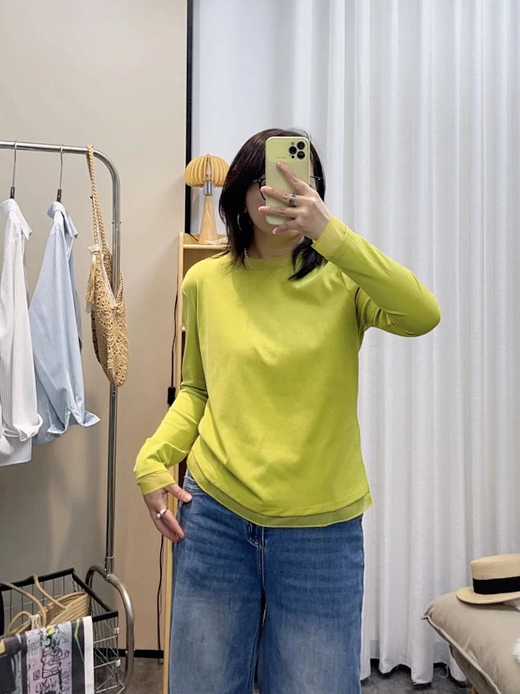 Spring New plus Size round Neck Mesh Splice Loose Long Sleeve Base Shirt Women Fat MM Slimming Belly Cover Simple T-shirt