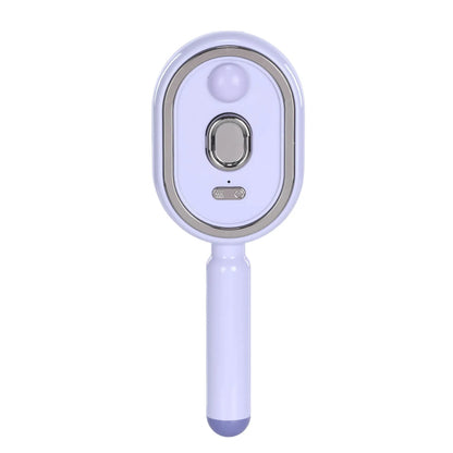 Electric Steam Brush USB-C Charging Wet Electrics Hairbrush Rechargeable Steams Hair Straightener for Both Long & Short Hairs