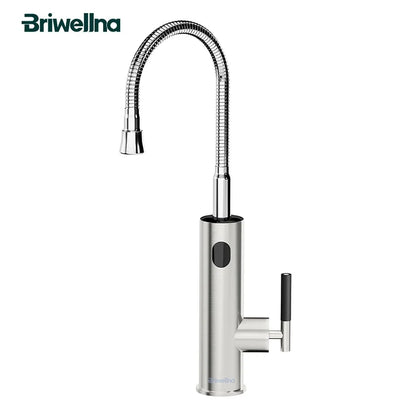 Briwellna Electric Faucet With Universal Spout Water Heater 220V Heating Tap Instant Water Heater Stainless Steel Faucet Geyser